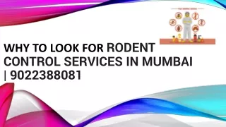 Why to Look for Rodent Control Services In Mumbai  9022388081