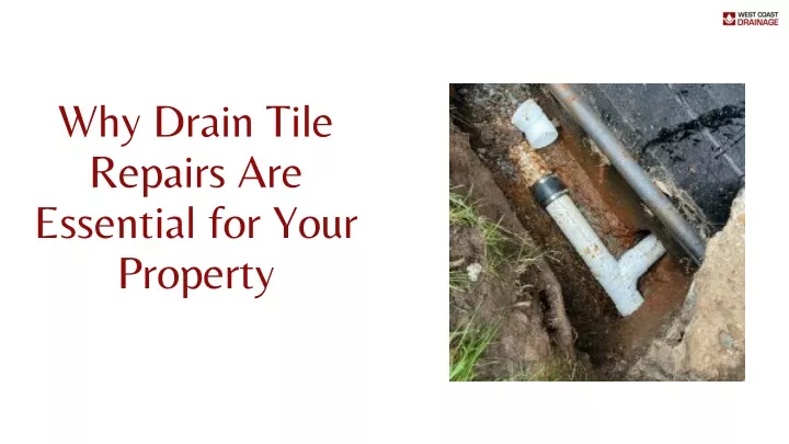 why drain tile repairs are essential for your