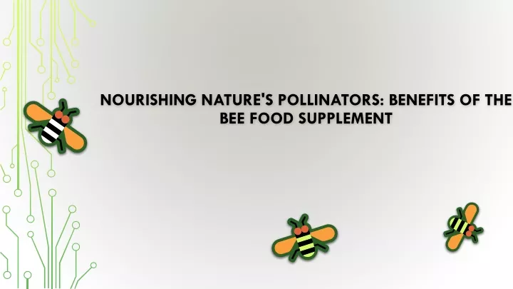 nourishing nature s pollinators benefits of the bee food supplement