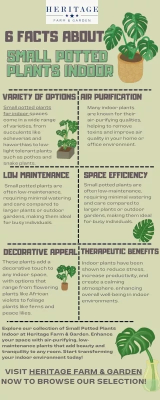 6 Facts AboutSmall Potted Plants Indoor