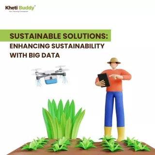 Sustainable Solutions: Enhancing Sustainability With Big Data