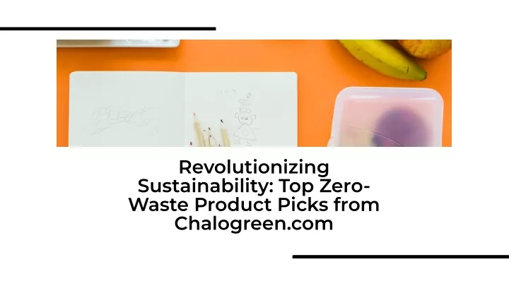 revolutionizing sustainability top zero waste