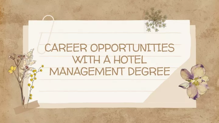 career opportunities with a hotel management