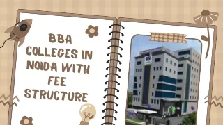 BBA colleges in noida with fee structure