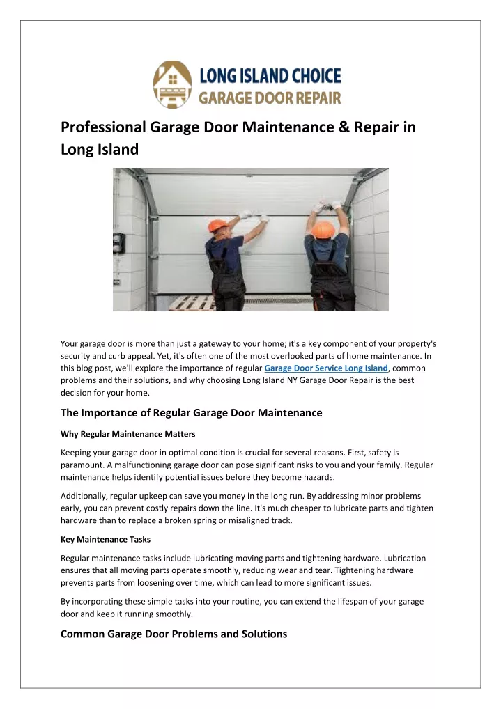 professional garage door maintenance repair