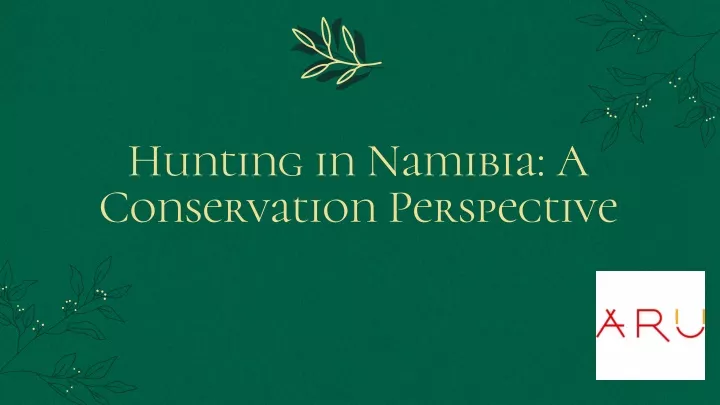 hunting in namibia a conservation perspective