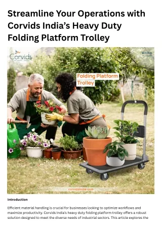 Heavy Duty Folding Platform Trolley