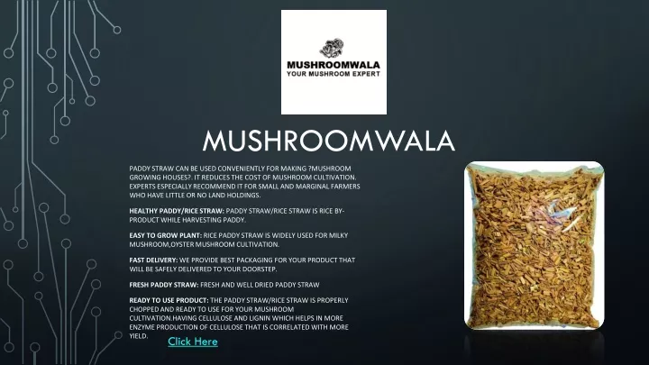 mushroomwala