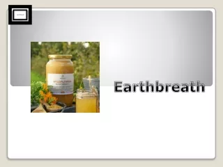 Pure Raw Unfiltered Honey for Natural Health | Earthbreath