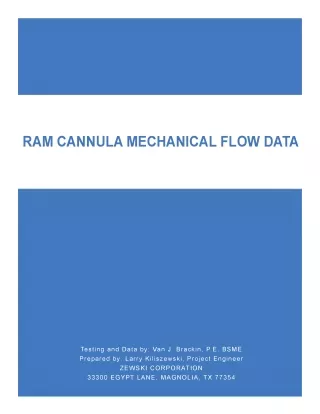 Ram cannula