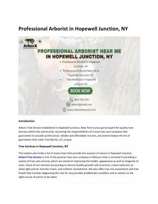 professional arborist in hopewell junction ny
