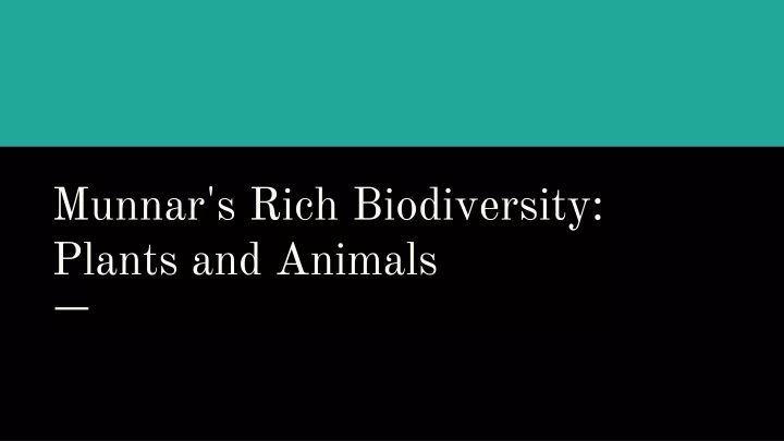 munnar s rich biodiversity plants and animals