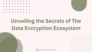 Unveiling the Secrets of The Data Encryption Ecosystem