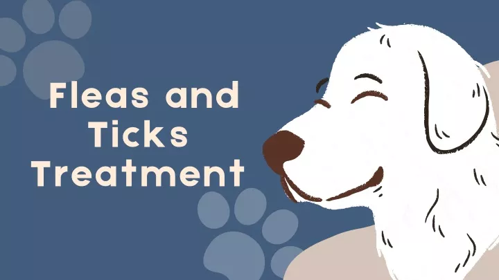 fleas and ticks treatment