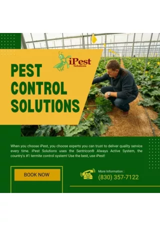 Defend Your Home: ipestpros Pest Control in College Station, San Antonio, and Wa