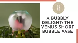 a bubbly delight the venus short bubble vase