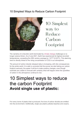 10 Simplest Way To Reduce Carbon Footprint