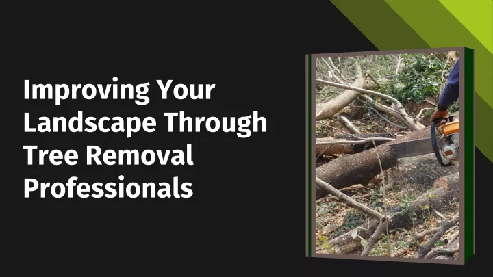 improving your landscape through tree removal