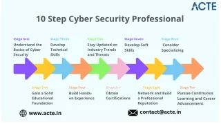 10 step cyber security professional