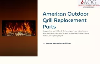 American Outdoor Grill Replacement Parts