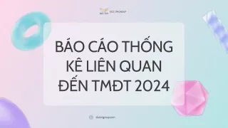 Báo cáo thống kê TMĐT 2024