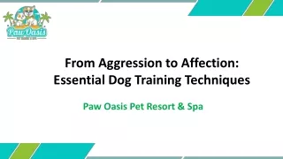 Paw Oasis Pet Resort: Top Dog Training in The Colony