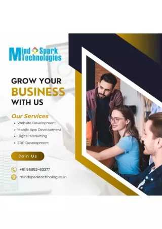Best SEO Service Company in Coimbatore, Tamil Nadu, India - Mind Spark Technolog