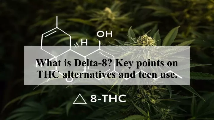 what is delta 8 key points on thc alternatives