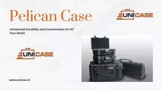 Pelican Case
