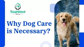 Why Dog Care is Necessary?