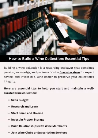 how to build a wine collection essential tips