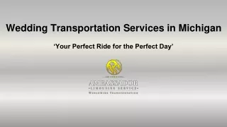 Wedding Transportation Services in Michigan: USA