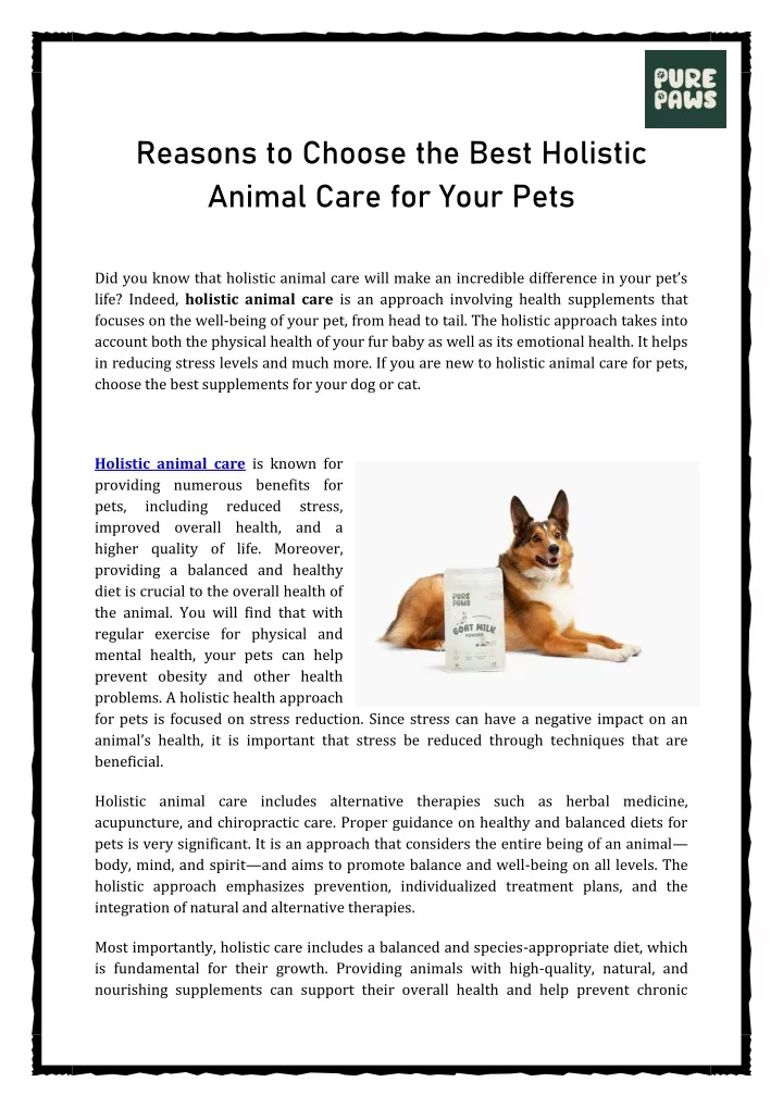 reasons to choose the best holistic animal care