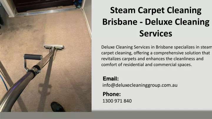 steam carpet cleaning brisbane deluxe cleaning