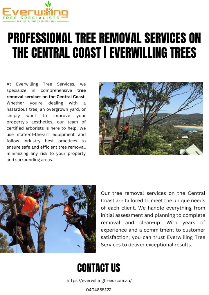 PPT - Professional Tree Removal Services on the Central Coast ...