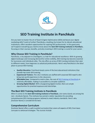SEO Training Institute in Panchkula