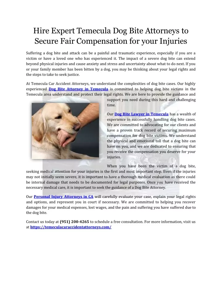 hire expert temecula dog bite attorneys to secure