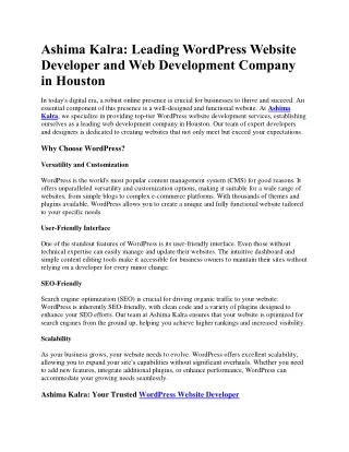 wordpress website developer