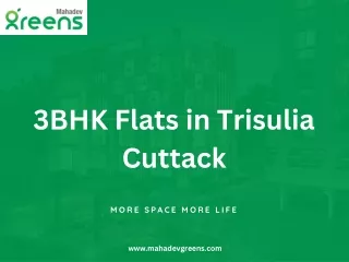 3bhk flats in trisulia cuttack