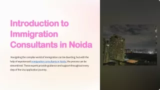 Introduction-to-Immigration-Consultants-in-Noida