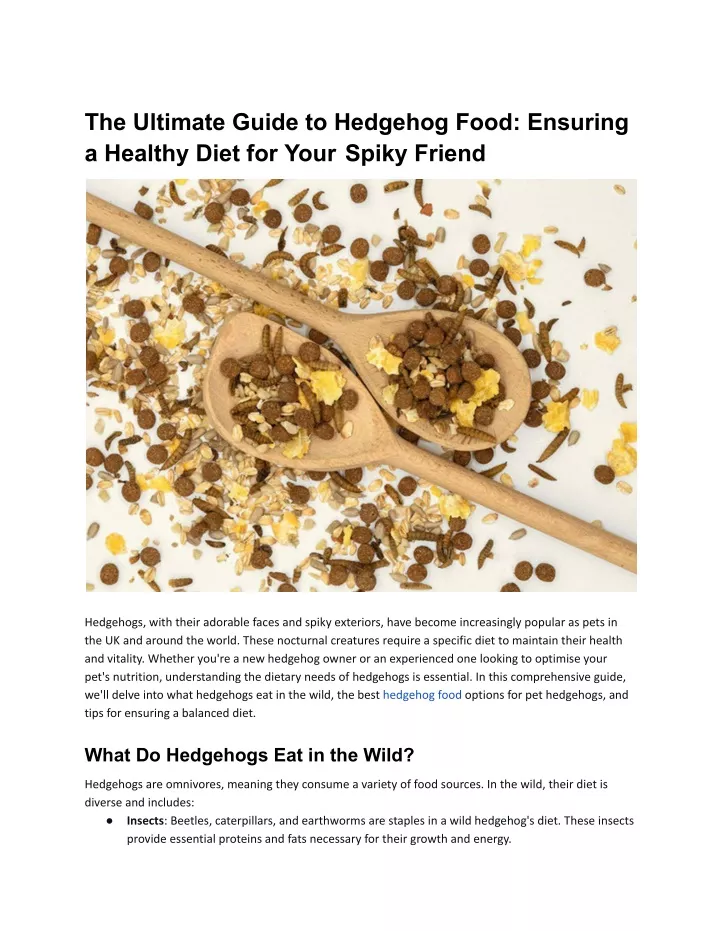 the ultimate guide to hedgehog food ensuring