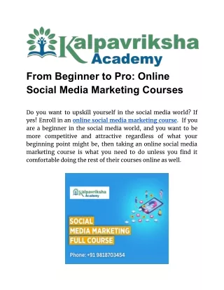 From Beginner to Pro: Online Social Media Marketing Courses