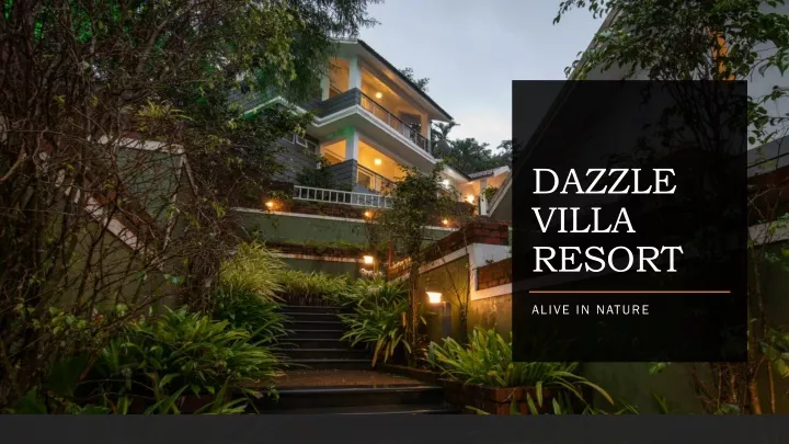 dazzle villa resort