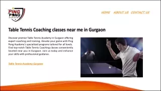 Table Tennis Coaching classes near me in Gurgaon