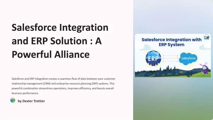 salesforce integration and erp solution