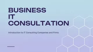 IT consultation firm in Texas