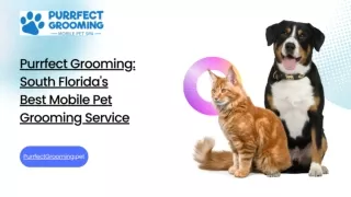 Purrfect Grooming: South Florida's Best Mobile Pet Grooming Service