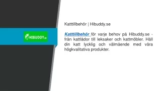 Katttillbehör  Hibuddy.se