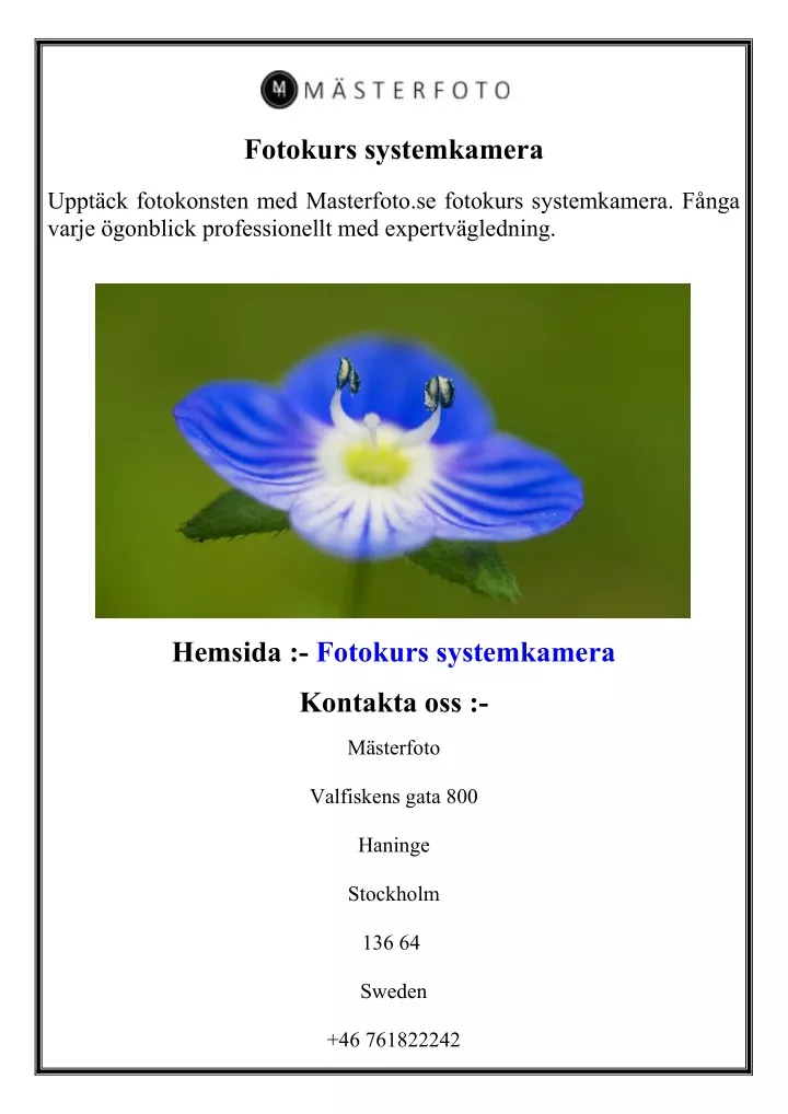 fotokurs systemkamera