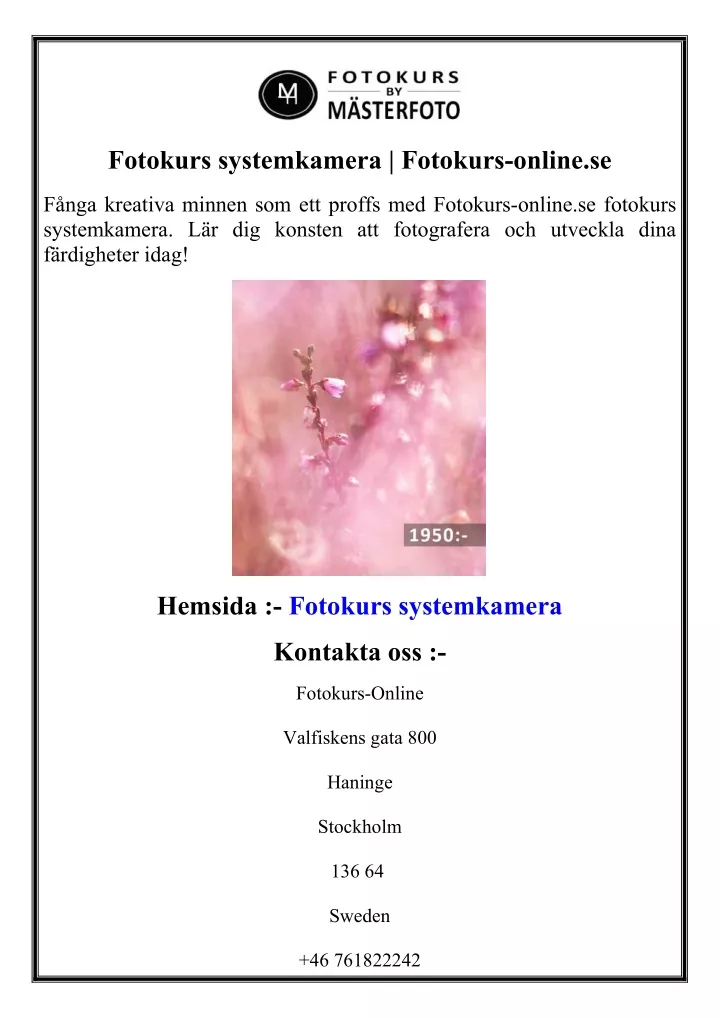 fotokurs systemkamera fotokurs online se